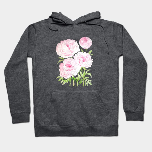 pink peony flowers  watercolor and ink Hoodie by colorandcolor